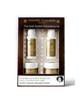 The Gold System Experience Kit – onlyPINKplease