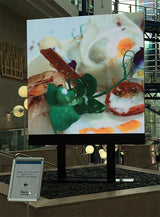 INDOOR DIRECT VIEW LED SOLUTIONS