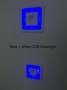 6 Watt blue + White COB Square downlight